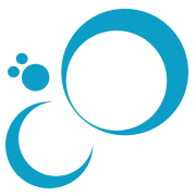 Web Info Solution Logo